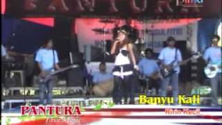 pantura-banyu kali