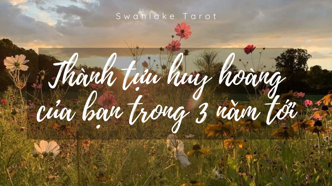 Thành tựu huy hoàng của bạn trong 3 năm tới || Swanlake Tarot