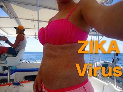 ⁣SE2 EP60 Zika Virus! and Steel Drums - Carricaou to Grenada - Sailing the Caribbean