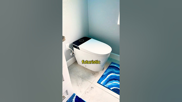 The World’s Most Futuristic TOILET 🚽 HOROW T38