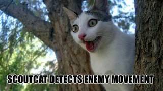 vERY fUNNY cATS 37