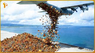 Finland Released Thousands of Caterpillars to Restore Butterflies — The Results Were Incredible