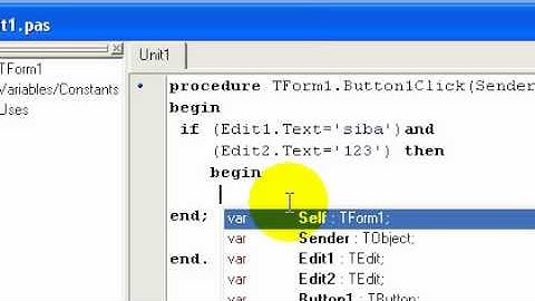 nome e senha no delphi