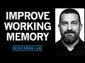 Tools to Enhance Working Memory &amp; Attention