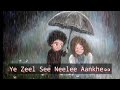 Ye zeel se nashili aankhe Whatsapp status video(37) Whatsapp Status Video Download Free