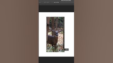Generative Fill Adobe Photoshop | Adobe Firefly AI