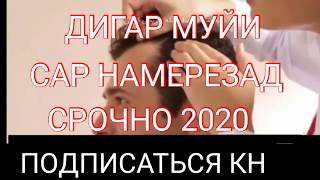 СРОЧНО НАРЕХТАНИ МУИ САР БДРО БИН 2020