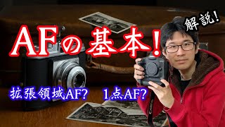 【初心者向け！AFの基本！】AF設定！確実なピントの合わせ方！！領域拡大AF？１点AF？ 【カメラ】【写真】【オートフォーカス】