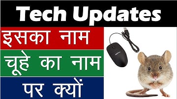 After all why the computer device was named mouse