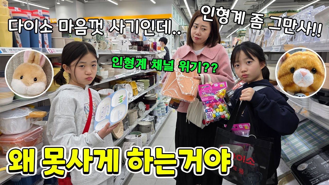 다이소에서 인형계 용품 마음껏 사기 영상 찍고 있는데 갑자기 인형계 용품을 못사게 하는 엄마.. 어떻게 된 일?? 가족일상 브이로그 | 뚜아뚜지TV