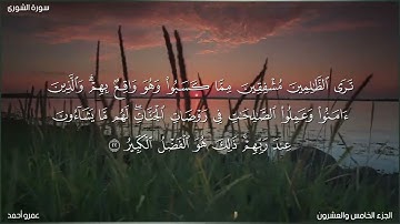 ما تيسر من سورة الشورى 2024 💜 عمرو أحمد