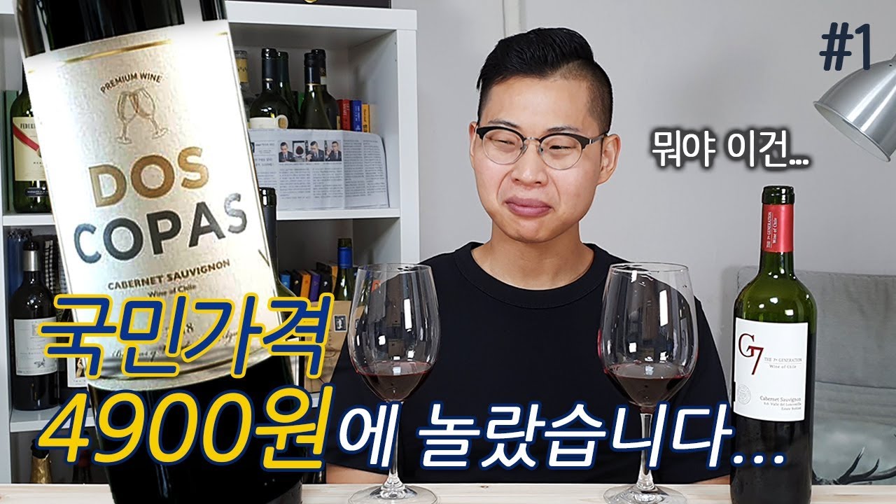이마트 4900원 와인 도스코파스 리뷰 dos copas, G7, 비교 시음, 와인리뷰 1 YouTube