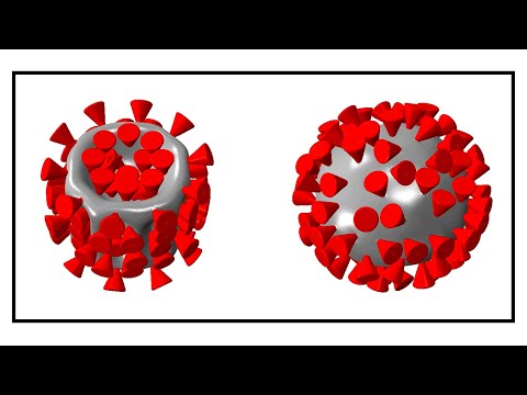 Ultrasound has potential to damage coronaviruses