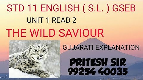 STD 11 ENGLISH (S.L.) UNIT 1 READ 2 THE WILD SAVIOUR | GSEB | GUJARATI EXPLANATION | PART 1