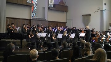 Prelude Chamber Strings - Chicken Foot Transplant