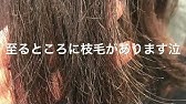 枝毛を裂く No 2 5本 Youtube 枝毛を裂く No 2 5本 Youtube