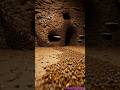 Termite POV: Inside a Massive Underground Colony (Realistic Wildlife Footage)