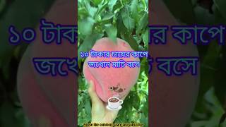 পুরো ভিডিওটি দেখুন বাস্তবটা বুঝতে পারবেন ☕🦗#real story bangla#trandingshorts #shortsfeed#shortvideo