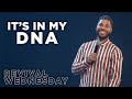 It's In My DNA | Tim Timberlake | Celebration Church