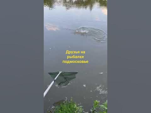 Друзья на рыбалке в подмосковье. Русская рыбалка. #рыбалка #fishing # ...