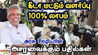 ஆடு வளர்ப்பில் லாபம் தான் / நஷ்டம்  இல்லை /அடித்துச்சொல்கிறேன் / 100% profit