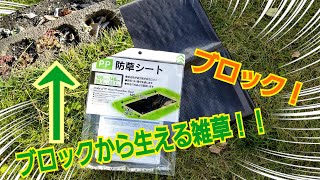 庭のブロックの隙間から出る雑草をなくしたい！！防草シートを被せて草むしりゼロに♪