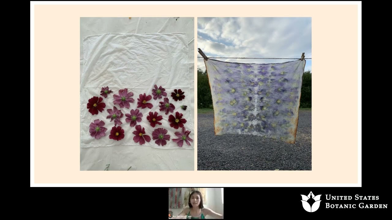 Eco-Printing with Flowers (Online Demonstration)