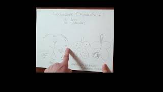Tuberculosis in animals and man // zoonosis and anthropozoonosis // transmission // Vanessa Herder