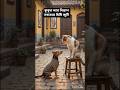 “Dogs and cats are not enemies.” 🐶🐱#dog #cat #ai #aishorts
