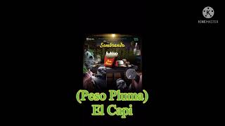 Peso Pluma (El Capi) LETRA. (Lyrics)