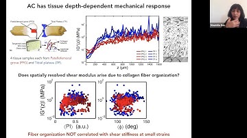 MRSEC Seminar: Moumita Das from Rochester Institute of Technology