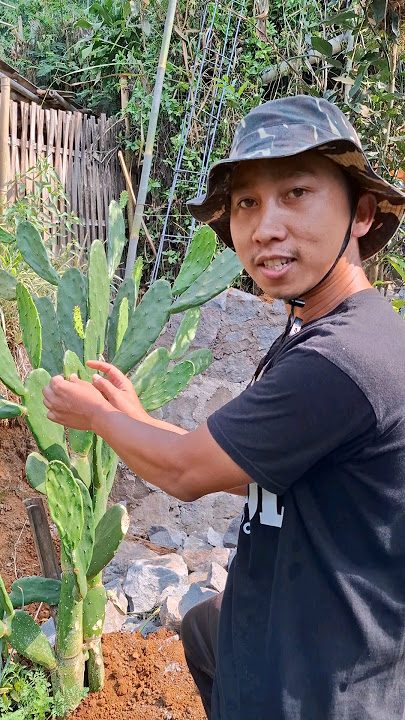 TIPS BERTAHAN HIDUP, ALA AYAH ARUL #katumirikidul