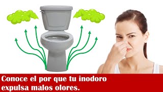 Inodoro, wc | Como quitar olores del baño | ¿Porque mi baño huele a drenaje?