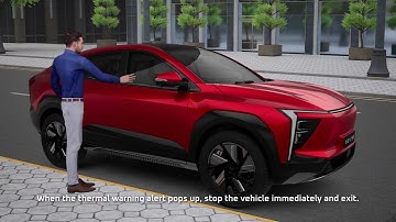 XEV 9e | VisIonX Thermal Warning