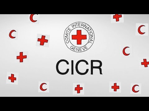 Comité internacional de