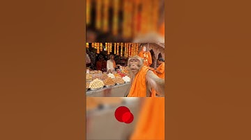 Monkey Vlog Mandir Darshan | Part 1 | #monkey #vlog  #veo3 #shorts #ai