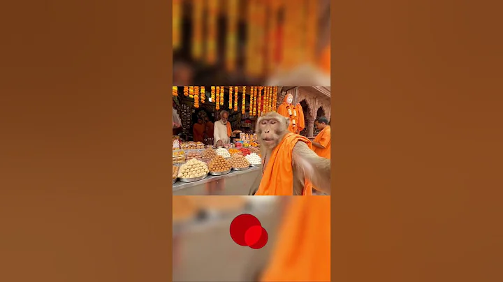 Monkey Vlog Mandir Darshan | Part 1 | #monkey #vlog  #veo3 #shorts #ai