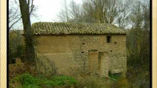 Vistas De Cinco Olivas Por Jesús Sariñena