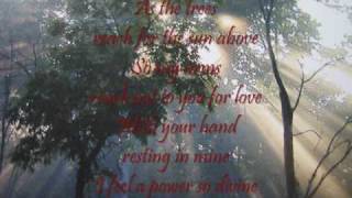 You're My World ( lyrics)-Helen Reddy chords