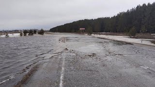 Весенний паводок добрался до Новосибирской области // 