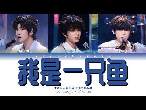 TF家族(TFFAMILY) - 我是一只鱼 (I’m a Fish) [Color Coded Lyrics Chi | Pin | Eng]