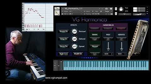 VG Harmonica Native Instruments Kontakt sound library
