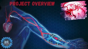 Stroke Risk Prediction Using Machine Learning || Project Consultation for BME, BMT, and BMS Students