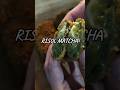 risol matcha #risol #risolmatcha #matcha #gabut #masaksimple #fyp #manusia