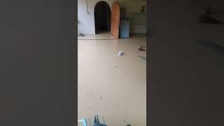 Banjir Lumpur Di Kdanung Labak Kinarut