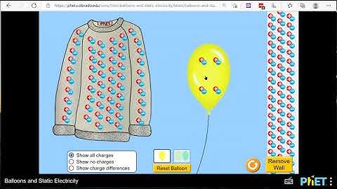 Phet Simulation Tutorial