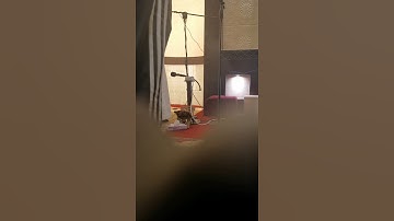 القاريء عبدالله الخلف سورة التين