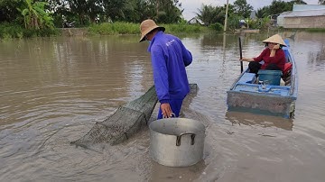 Kiên giang mùa nước nổi đổ Dớn bắt cá đồng trên ruộng - Út Dựt