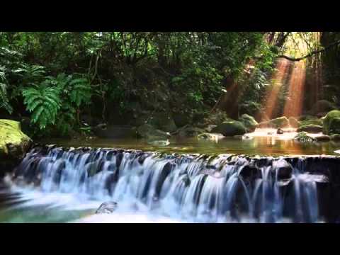 შენი ცხოვრების ტრანსფორმაცია - თამარ არაგველი -Transformation