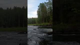 Перекат на реке Кереть short #shorts #путешественникtv #Карелия #водныйпоход